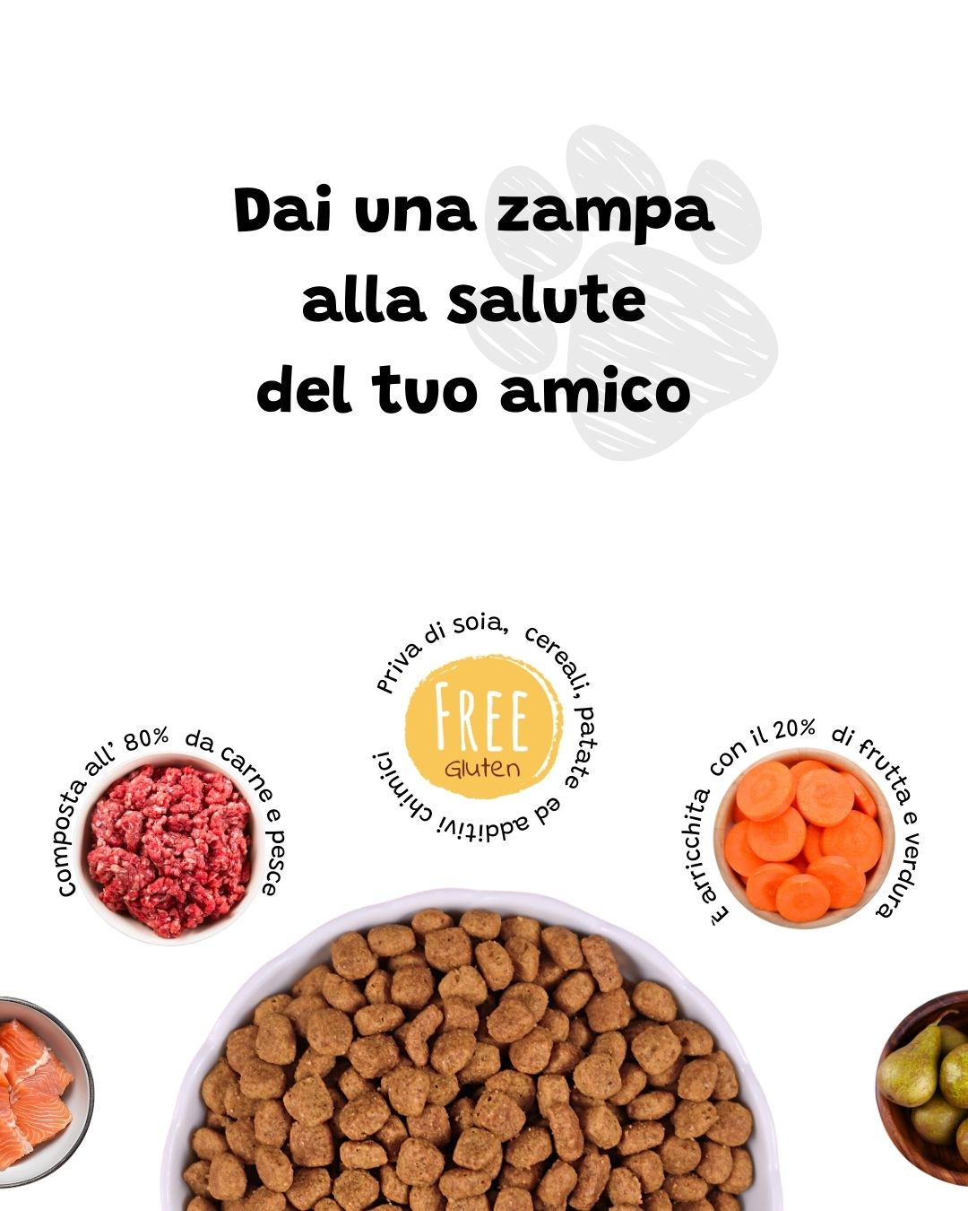 cibo ipoallergenico per cani
