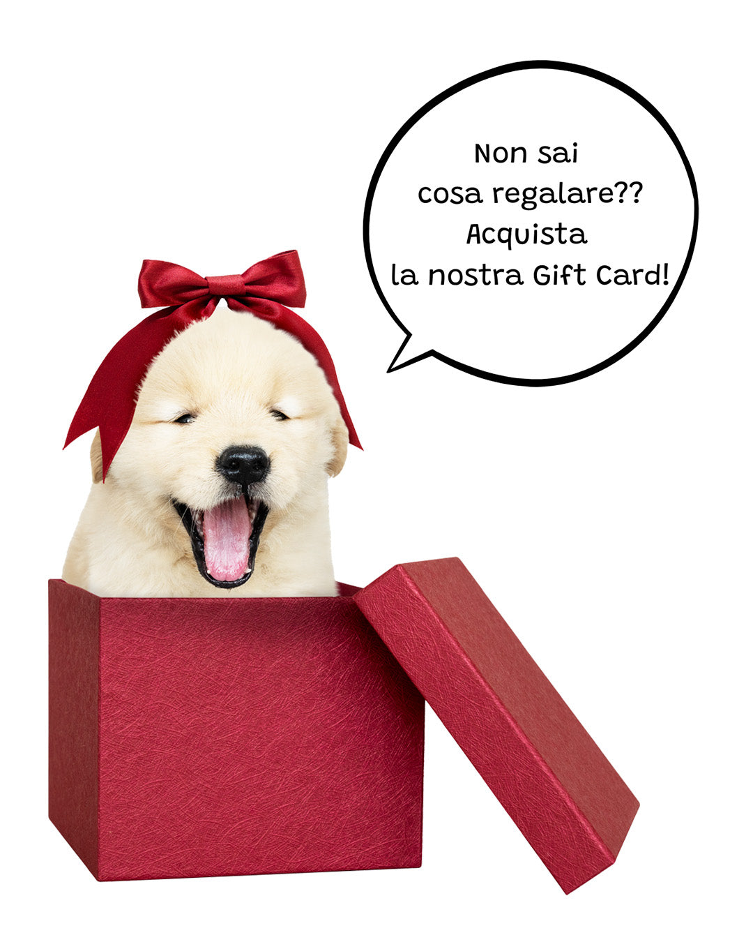 Gift card barf