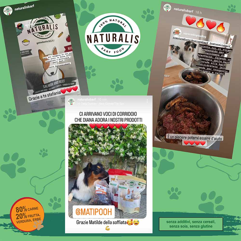 Essential Renal - Integratore Per Dieta Casalinga Cane Adulto Senza Ossa, 650g