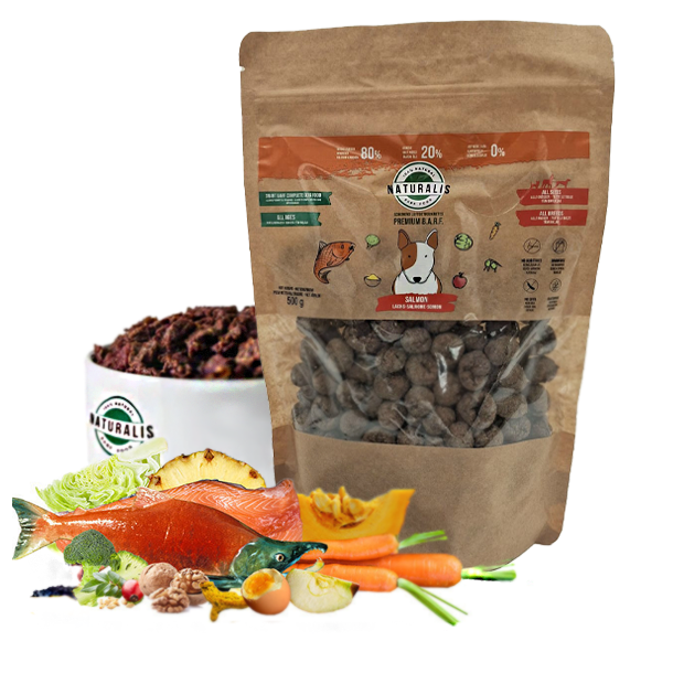 Barf disidratata per cani al gusto SALMONE