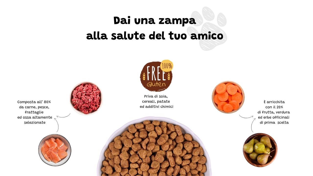 cibo ipoallergenico per cani